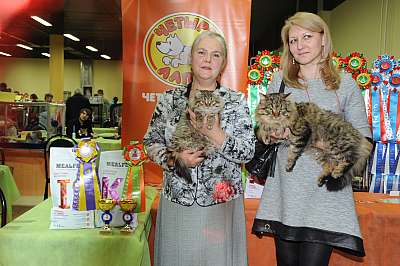 �������� ����� 2-3 ������� 2,6-43,41-DSC_0027.jpg