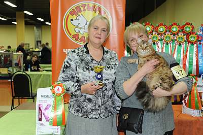 �������� ����� 2-3 ������� 5-37-DSC_0034.jpg