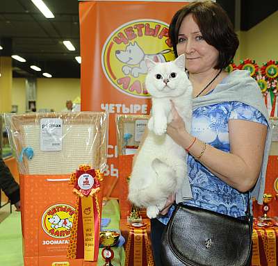 �������� ����� 2-3 ������� 9-109-DSC_9858.jpg