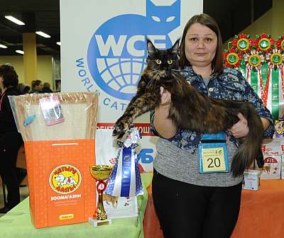 �������� ����� 2-3 ������� 1-20-DSC_0193.jpg