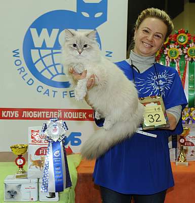 �������� ����� 2-3 ������� 2-32-DSC_0190.jpg