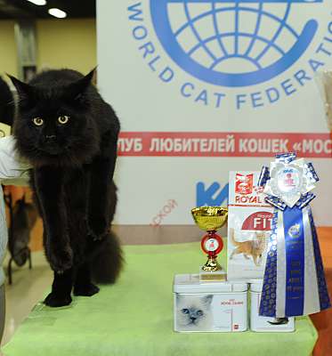 �������� ����� 2-3 ������� 3-25-DSC_0187.jpg