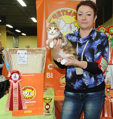 �������� ����� 2-3 ������� 6-120-DSC_9975.jpg