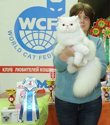 �������� ����� 2-3 ������� 3-51-DSC_0312.jpg