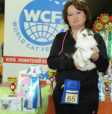 �������� ����� 2-3 ������� 5-65-DSC_0308.jpg