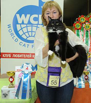 �������� ����� 2-3 ������� 7-55-DSC_0302.jpg