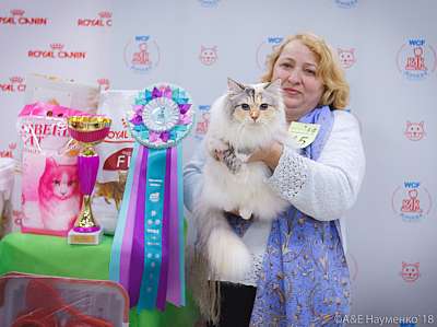 �������� ����� 3-4 ������� 2018  1-15-0489.jpg