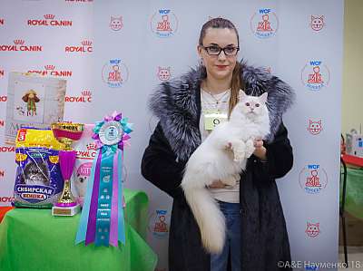 �������� ����� 3-4 ������� 2018  10-9-0423.jpg