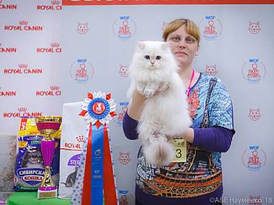 �������� ����� 3-4 ������� 2018  14-73-0359.jpg