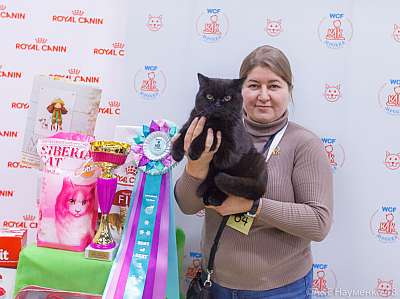 �������� ����� 3-4 ������� 2018  3-84-0486.jpg