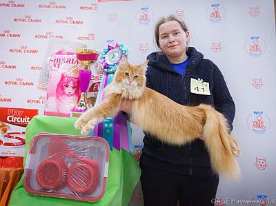 �������� ����� 3-4 ������� 2018  4-41-0487.jpg