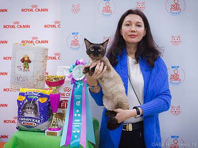 �������� ����� 3-4 ������� 2018  6-118-0482.jpg