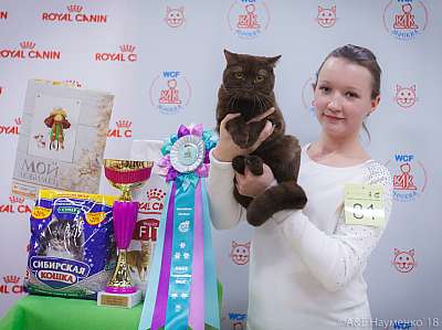 �������� ����� 3-4 ������� 2018  7-81-0460.jpg