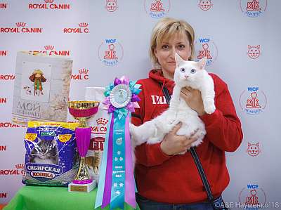 �������� ����� 3-4 ������� 2018  8-64-0452.jpg