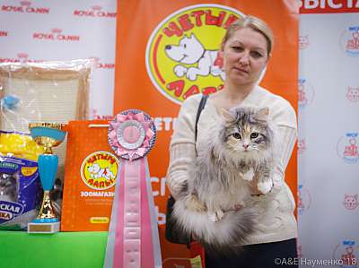 �������� ����� 3-4 ������� 2018  10-138-0744.jpg