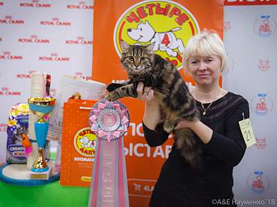 �������� ����� 3-4 ������� 2018  11-21-0738.jpg