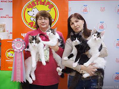 �������� ����� 3-4 ������� 2018  13-33-0721.jpg