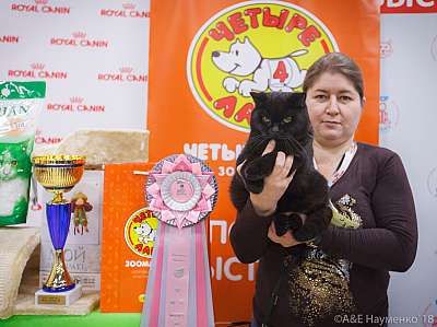 �������� ����� 3-4 ������� 2018  2-84-0804.jpg