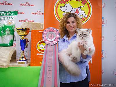 �������� ����� 3-4 ������� 2018  3-4-0805.jpg