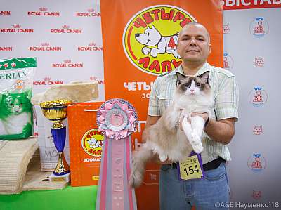 �������� ����� 3-4 ������� 2018  4-154-0802.jpg