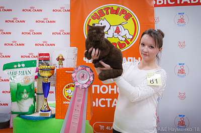 �������� ����� 3-4 ������� 2018  6-81-0772.jpg