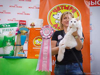 �������� ����� 3-4 ������� 2018  8-64-0768.jpg