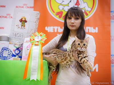 �������� ����� 3-4 ������� 2018  6-145-0592.jpg