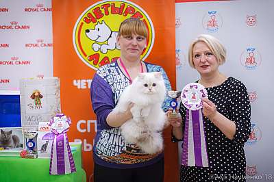 �������� ����� 3-4 ������� 2018  1-73-0672.jpg