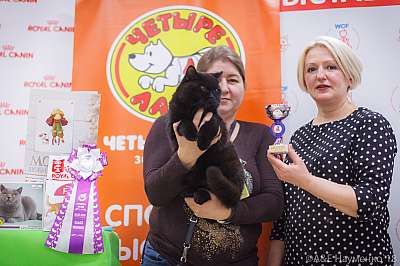 �������� ����� 3-4 ������� 2018  2-84-0676.jpg