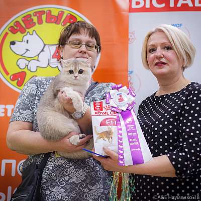 �������� ����� 3-4 ������� 2018  3-79-0675.jpg