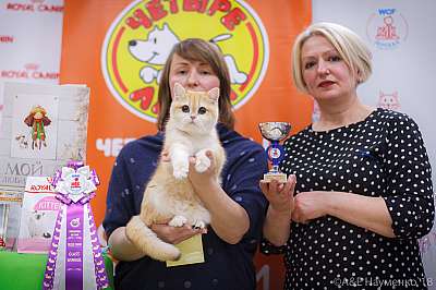 �������� ����� 3-4 ������� 2018  4-87-0673.jpg