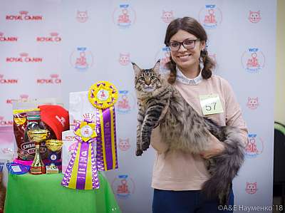 �������� ����� 3-4 ������� 2018  1-57-0099.jpg