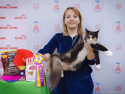 �������� ����� 3-4 ������� 2018  2-46-0103.jpg