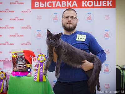 �������� ����� 3-4 ������� 2018  3-147-0101.jpg