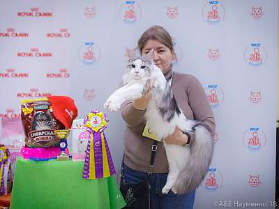 �������� ����� 3-4 ������� 2018  5-61-0102.jpg