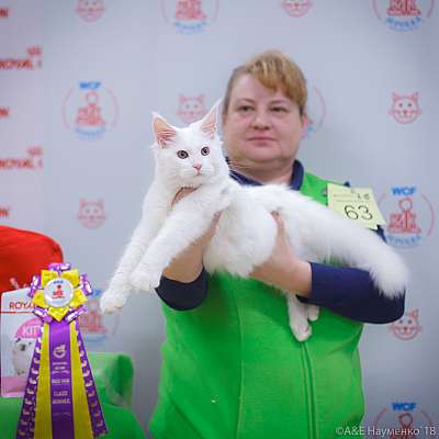 �������� ����� 3-4 ������� 2018  6-63-0110.jpg