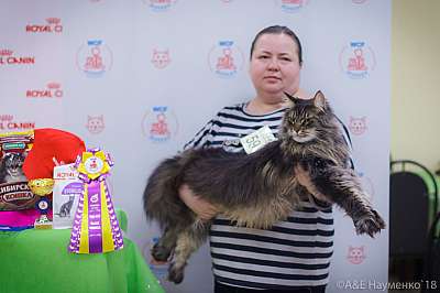 �������� ����� 3-4 ������� 2018  9-59-0105.jpg