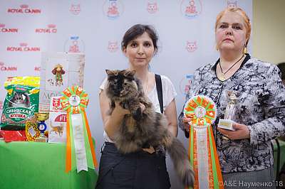 �������� ����� 3-4 ������� 2018  1-10-0345.jpg