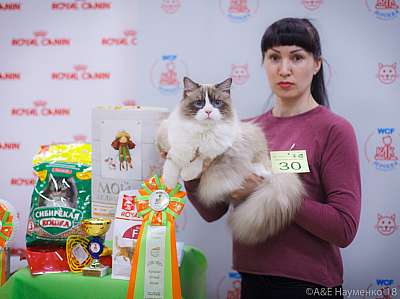 �������� ����� 3-4 ������� 2018  3-30-0334.jpg