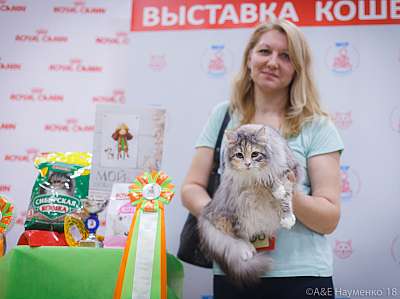 �������� ����� 3-4 ������� 2018  4-138-0342.jpg