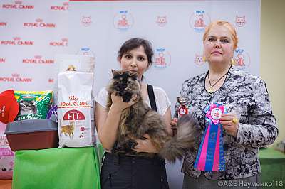 �������� ����� 3-4 ������� 2018  1-10-0160.jpg