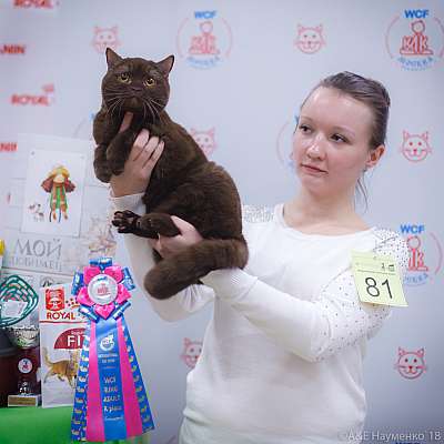 �������� ����� 3-4 ������� 2018  10-81-0147.jpg