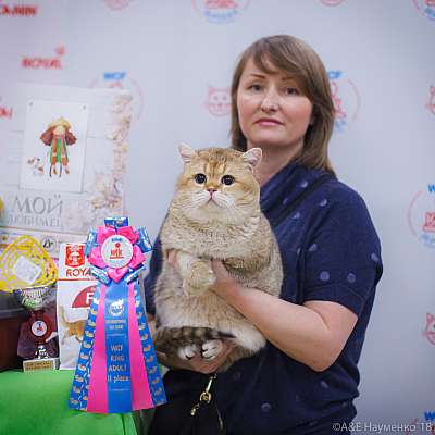 �������� ����� 3-4 ������� 2018  2-93-0159.jpg