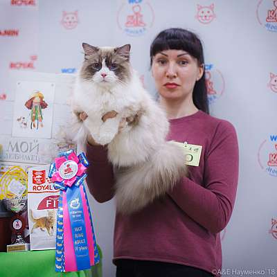 �������� ����� 3-4 ������� 2018  4-30-0155.jpg