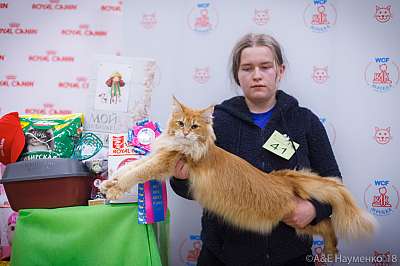 �������� ����� 3-4 ������� 2018  6-41-0151.jpg