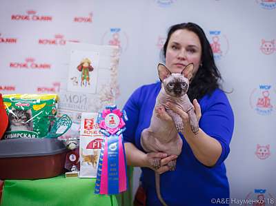 �������� ����� 3-4 ������� 2018  8-113-0149.jpg