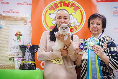 �������� ����� 3-4 ������� 2018  1-109-0517.jpg