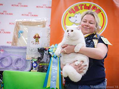 �������� ����� 3-4 ������� 2018  10-95-0507.jpg