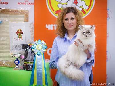 �������� ����� 3-4 ������� 2018  2-4-0516.jpg