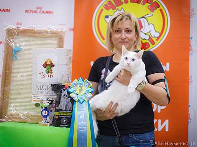 �������� ����� 3-4 ������� 2018  3-64-0515.jpg